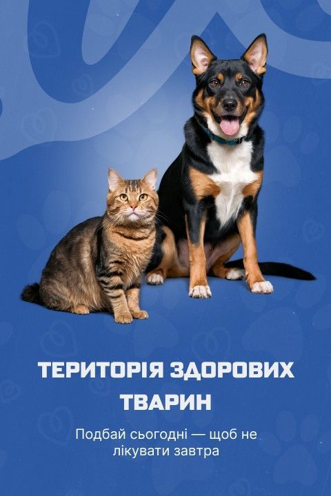 Banner from design